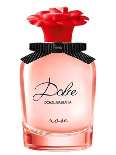 dolce and gabbana rose